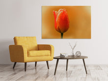 Load image into Gallery viewer, Canvas print A tulip in the morning dew
