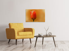 Load image into Gallery viewer, Canvas print A tulip in the morning dew
