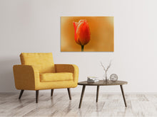 Load image into Gallery viewer, Canvas print A tulip in the morning dew

