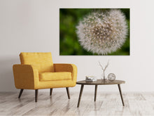 Load image into Gallery viewer, Canvas print The dandelion in nature
