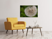 Load image into Gallery viewer, Canvas print The dandelion in nature

