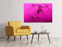 Load image into Gallery viewer, Canvas print Dandelion in pink
