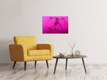 Load image into Gallery viewer, Canvas print Dandelion in pink
