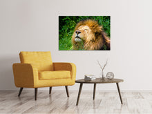 Load image into Gallery viewer, Canvas print Sleeping lion
