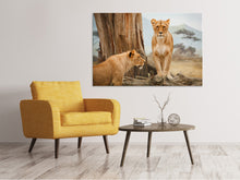 Load image into Gallery viewer, Canvas print Lions in Africa
