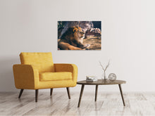 Load image into Gallery viewer, Canvas print Lion is sunning himself
