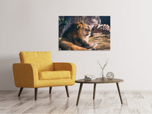 Load image into Gallery viewer, Canvas print Lion is sunning himself

