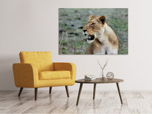 Load image into Gallery viewer, Canvas print Magnificent lioness
