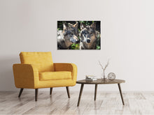 Load image into Gallery viewer, Canvas print 2 wolves
