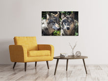 Load image into Gallery viewer, Canvas print 2 wolves

