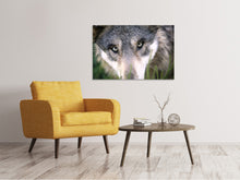 Load image into Gallery viewer, Canvas print The Wolf&#39;s look
