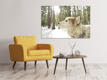 Load image into Gallery viewer, Canvas print The Alaskan Malamute

