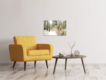 Load image into Gallery viewer, Canvas print The Alaskan Malamute
