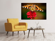 Load image into Gallery viewer, Canvas print The flying fox

