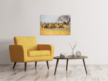 Load image into Gallery viewer, Canvas print Lion family
