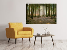 Load image into Gallery viewer, Canvas print Forest run
