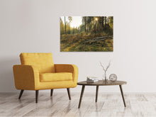 Load image into Gallery viewer, Canvas print Working in the woods
