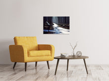 Load image into Gallery viewer, Canvas print A path in the snow
