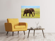 Load image into Gallery viewer, Canvas print Gorgeous elephant

