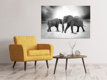 Load image into Gallery viewer, Canvas print 2 elephants sw
