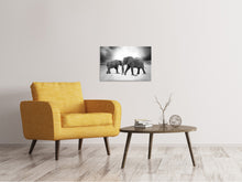 Load image into Gallery viewer, Canvas print 2 elephants sw
