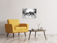 Load image into Gallery viewer, Canvas print 2 elephants sw
