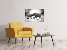 Load image into Gallery viewer, Canvas print 2 elephants sw
