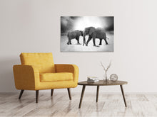 Load image into Gallery viewer, Canvas print 2 elephants sw
