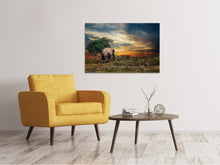 Load image into Gallery viewer, Canvas print The elephant in the sunset
