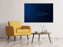 Load image into Gallery viewer, Canvas print Dangerous shark
