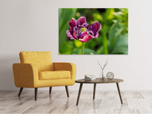 Load image into Gallery viewer, Canvas print Dark tulip in nature
