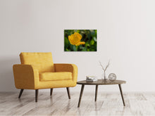 Load image into Gallery viewer, Canvas print Yellow tulip XL
