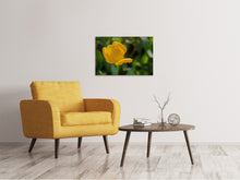Load image into Gallery viewer, Canvas print Yellow tulip XL
