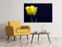Load image into Gallery viewer, Canvas print Glowing tulip
