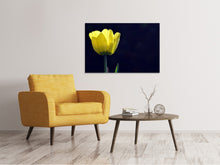 Load image into Gallery viewer, Canvas print Glowing tulip
