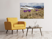 Load image into Gallery viewer, Canvas print Purple crocus
