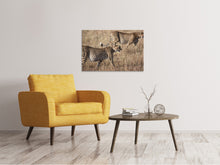 Load image into Gallery viewer, Canvas print 2 leopards
