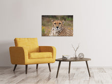 Load image into Gallery viewer, Canvas print Cheetah XL
