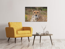 Load image into Gallery viewer, Canvas print Cheetah XL
