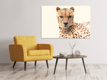 Load image into Gallery viewer, Canvas print Cheetah in the sun

