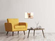 Load image into Gallery viewer, Canvas print Cheetah in the sun
