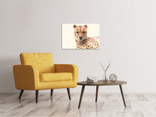 Load image into Gallery viewer, Canvas print Cheetah in the sun
