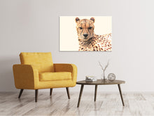 Load image into Gallery viewer, Canvas print Cheetah in the sun
