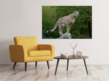 Load image into Gallery viewer, Canvas print Cheetah on the go
