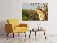 Load image into Gallery viewer, Canvas print Cheetah in nature
