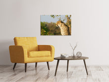 Load image into Gallery viewer, Canvas print Cheetah in nature
