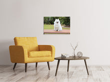 Load image into Gallery viewer, Canvas print The Spitz as a young dog

