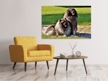 Load image into Gallery viewer, Canvas print 2 Wolfsspitz
