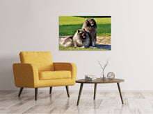 Load image into Gallery viewer, Canvas print 2 Wolfsspitz

