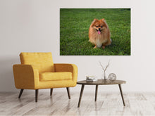 Load image into Gallery viewer, Canvas print The little Spitz
